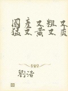 国产又粗又长又猛又黄又爽又大