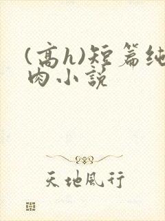 (高h)短篇纯肉小说