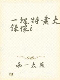 一级特黄大片 录像i