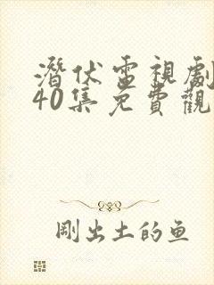 潜伏电视剧全集40集免费观看