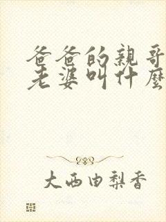 爸爸的亲哥哥的老婆叫什么称呼