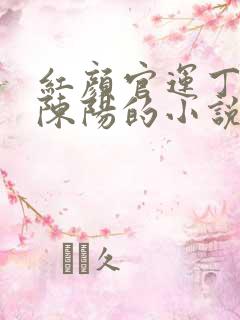 红颜官运丁若烟陈阳的小说