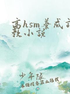 高hsm养成调教小说