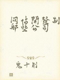 网站开发制作有哪些公司