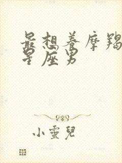 最想养摩羯女的星座男