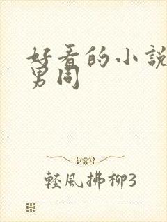 好看的小说推荐男同