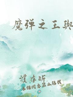 魔弹之王与战姬