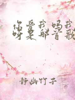 你爱我吗我爱你呀是哪首歌