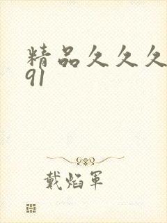 精品久久久久久91