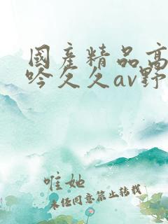 国产精品高潮呻吟久久av野狼