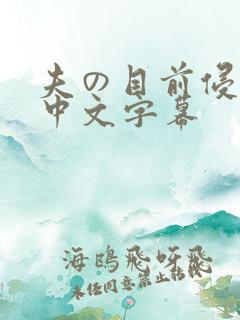 夫の目前侵犯 中文字幕