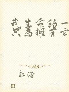 我生命的一切都只为拥有它是什么歌