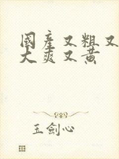 国产又粗又猛又大爽又黄