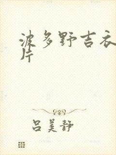 波多野吉衣一级片