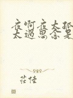 夜啊夜太孤单我太过思念是哪首歌的歌词