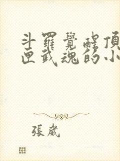 斗罗觉醒顶级剑匣武魂的小说