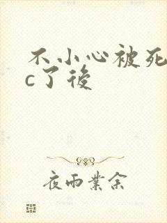 不小心被死对头c了后