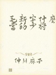 毛新宇什么时候当的少将