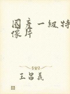 国产一级特黄录像片