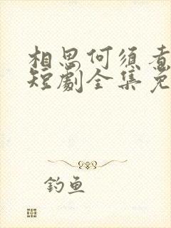 相思何须煮余年短剧全集免费观看