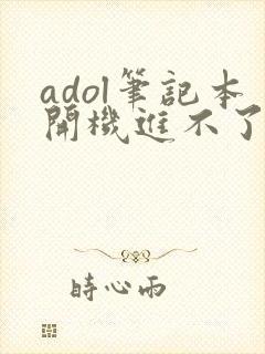 adol笔记本开机进不了桌面