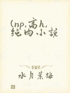 (np,高h,纯肉小说