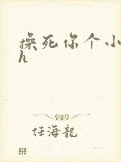 操死你个小骚货h