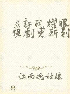 《许我耀眼》电视剧更新到几集了