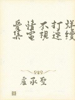 爱情不打烊44集电视连续剧