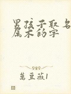 男孩子取名五行属木的字