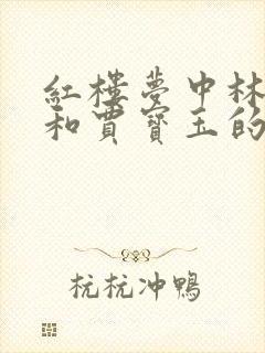 红楼梦中林黛玉和贾宝玉的关系