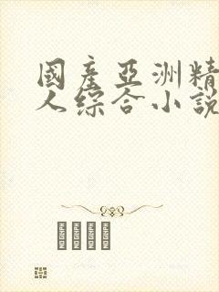 国产亚洲精品成人综合小说