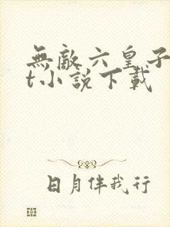 无敌六皇子txt小说下载