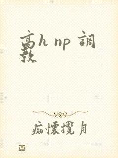 高h np 调教