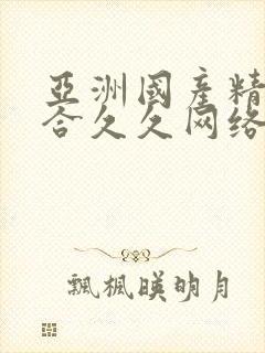 亚洲国产精品综合久久网络