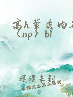 高h荤爽肉欲文〈np〉bl