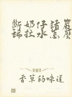 断奶仔猪严重拉稀拉水怎么治疗