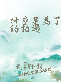 什么是为了更好的相遇