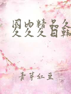 国内精品久久久久久久日韩