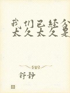 我们已经分别的太久太久是什么歌