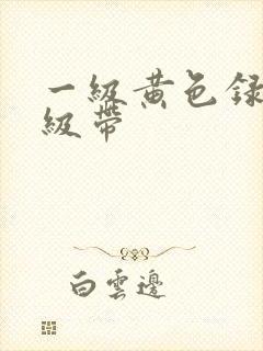 一级黄色录像一级带