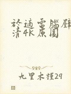 于适电脑壁纸超清4k原图