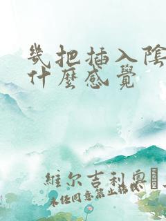 几把插入阴道是什么感觉