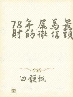 78年属马最旺财的微信头像
