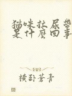 猫咪拉尿带点血是什么回事