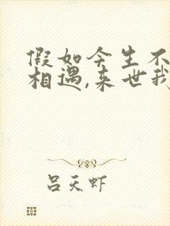 假如今生不能再相遇,来世我在奈何桥等你