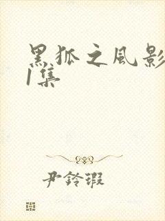 黑狐之风影第21集