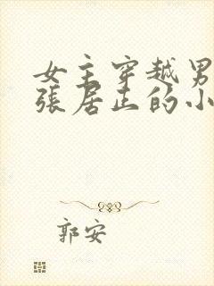 女主穿越男主是张居正的小说