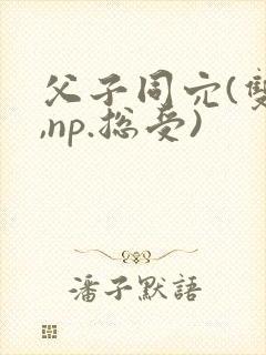 父子同穴(双性,np.总受)