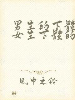 男生的下体插进女生下体的视频